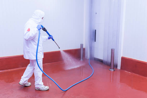 Best Spring Cleaning  in Meadows Place, TX