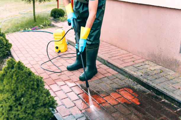 Best Solar Panel Cleaning  in Meadows Place, TX