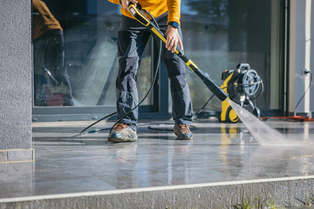Best Soft Washing  in Meadows Place, TX