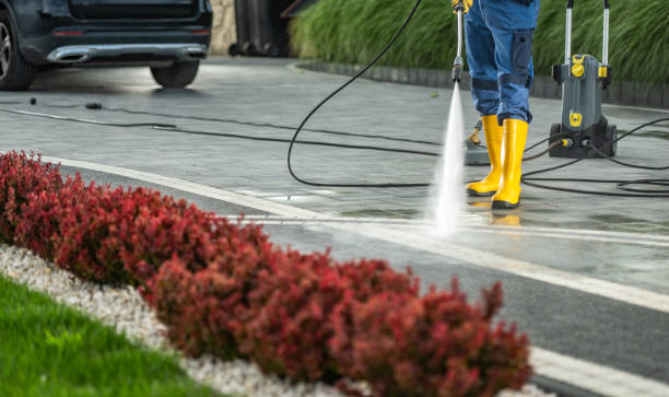 Best Rust Removal  in Meadows Place, TX
